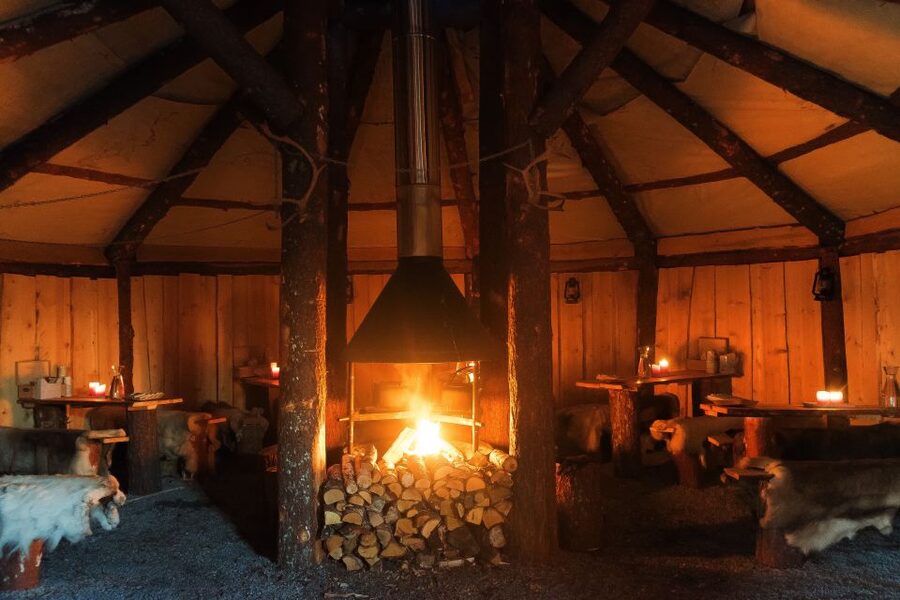 Tromsø: Reindeer Sled, Dinner, and Chance of Northern Lights - Feeding reindeer at close range