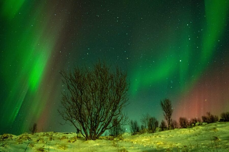 Tromsø: Small-Group Adventurous Northern Lights Hunt - Campfire Warmth and Simple Arctic Hospitality