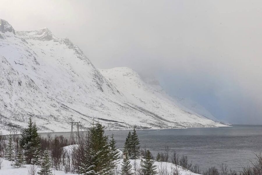 Tromsø: Small-Group Northern Lights Chase by Van with Photos - Is $250 a fair price?