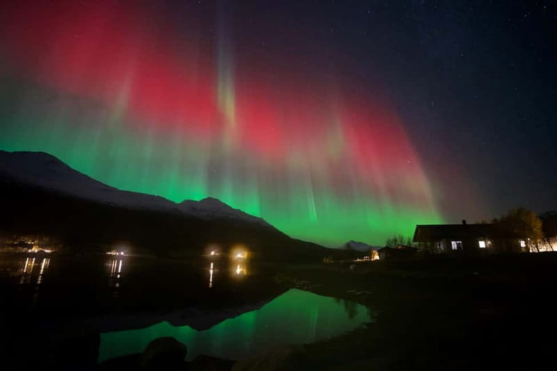 Tromsø: Small-Group Northern Lights Tour by Minibus - Key points to know before booking