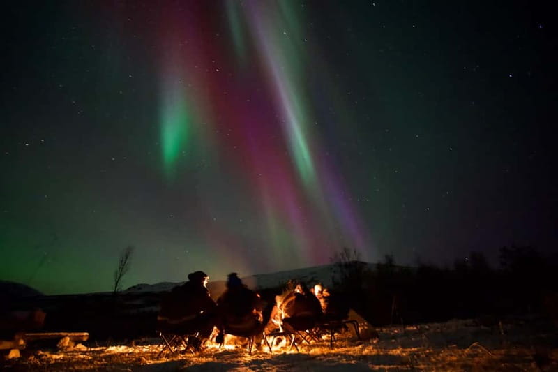 Tromsø: Small-Group Northern Lights Tour by Minibus - Chasing clear sky through Tromsø’s countryside