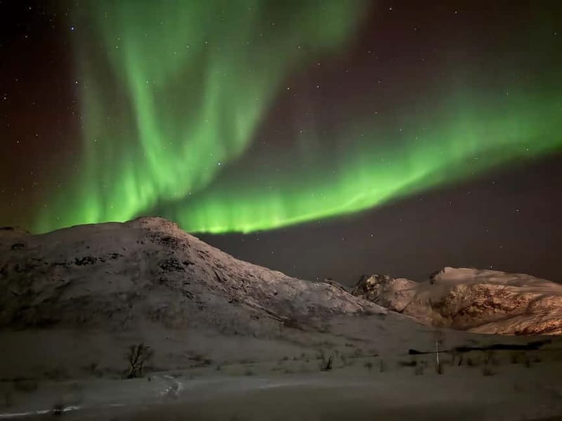 Tromsø: Small-Group Northern Lights Tour by Minibus - Thermal suits make the waiting possible