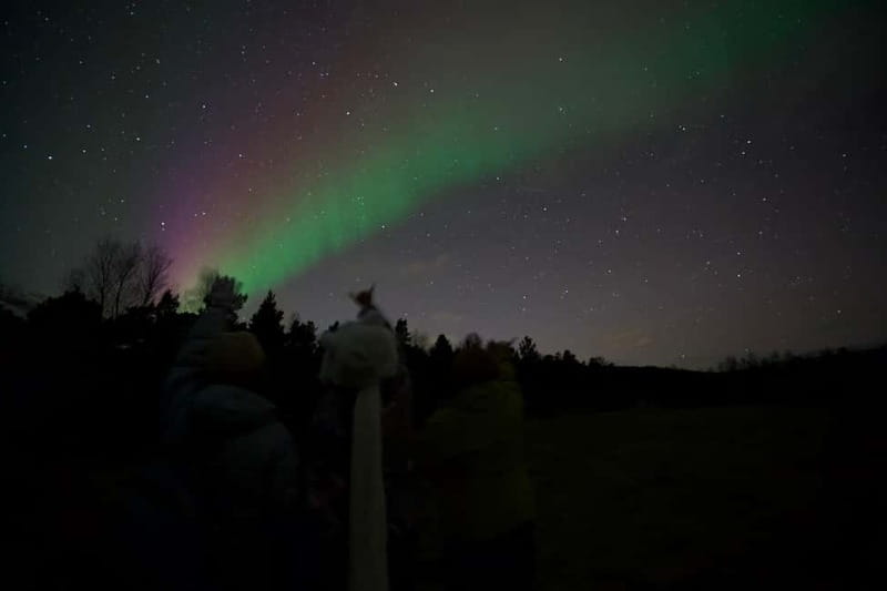 Tromsø: Small-Group Northern Lights Tour by Minibus - Guides who keep the evening moving