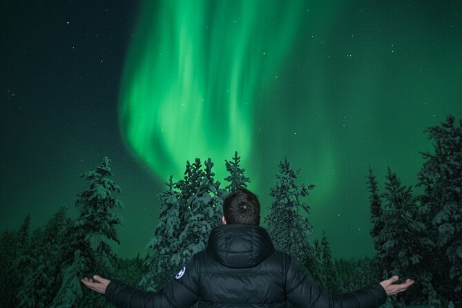 Ultimate Aurora Borealis Tour Rovaniemi - Professional photos without camera stress