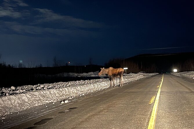 Vip Aurora Adventure from Fairbanks - Why the four-person limit matters