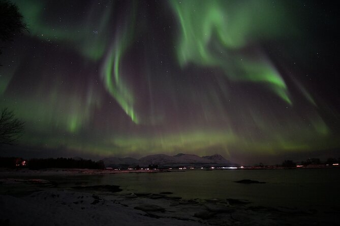 Watching The Aurora Dance - Sausages, Norwegian toppings, and hot drinks