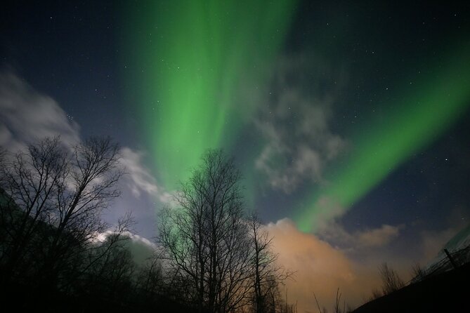 Watching The Aurora Dance - Group size, timing, and personal attention