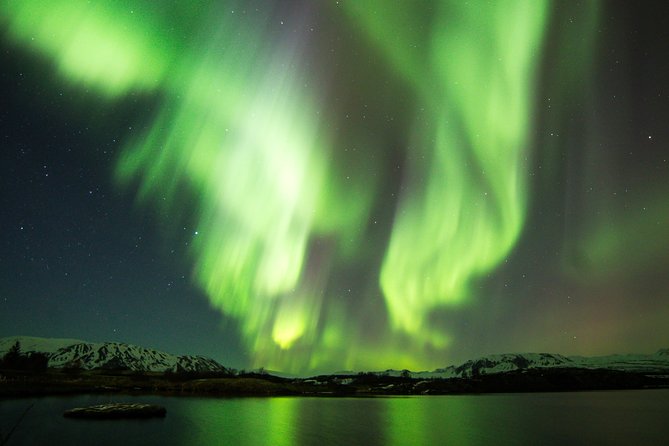 Whale Watching and Northern Lights Half-Day Combo Tour - Meeting the boat at Geirsgata 11