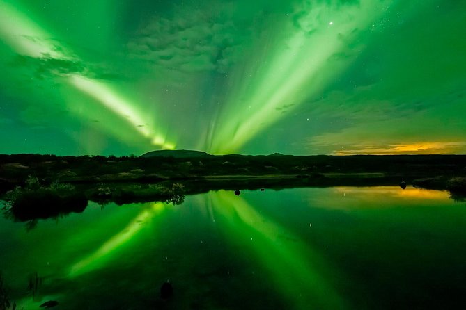 Whale Watching and Northern Lights Half-Day Combo Tour - Who should book this combo?