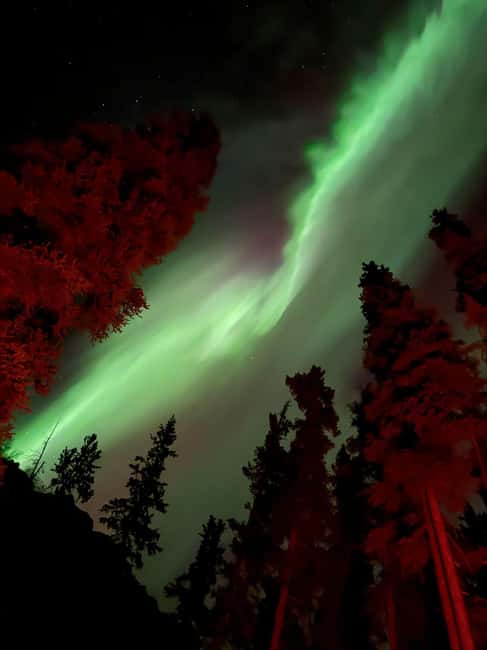 Whitehorse: Aurora Viewing with Wild Adventure Yukon - From Whitehorse snowshoes to a Carcross night