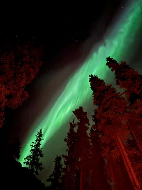 Whitehorse: Aurora Viewing with Wild Adventure Yukon - Pickup, clothing, and practical planning