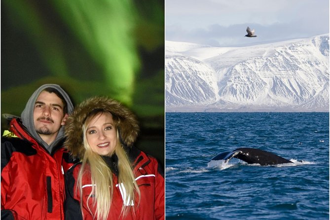 Winter Whale Watching and Northern Lights Cruise from Reykjavik - Two Reykjavik cruises, one long Icelandic day