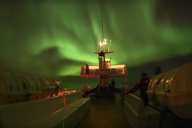Winter Whale Watching and Northern Lights Cruise from Reykjavik - Is $198 good value?