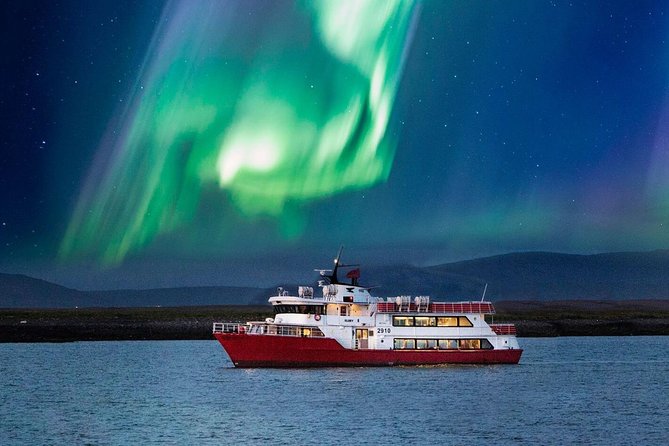 Winter Whale Watching and Northern Lights Cruise from Reykjavik - Looking for whales in Faxaflói Bay