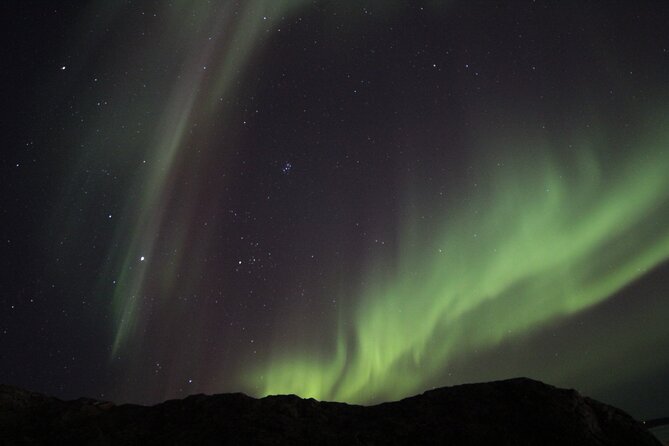 Yellowknife Aurora Hunting Tours by Bus - Key points to know before booking