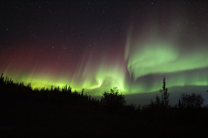 Yellowknife Aurora Hunting Tours by Bus - Why this Yellowknife aurora tour works