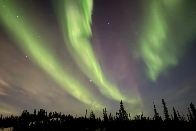 Yellowknife Aurora Hunting Tours by Bus - Stop 2: Madeline Lake Territorial Park