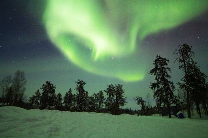 Yellowknife Aurora Hunting Tours by Bus - The guide makes the difference