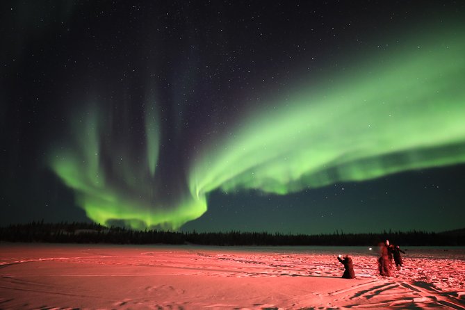 Yellowknife Tours - Aurora by bus - Key points to know before booking
