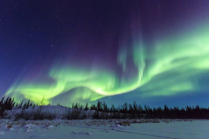 Yellowknife Tours - Aurora by bus - Staying warm when the temperature drops