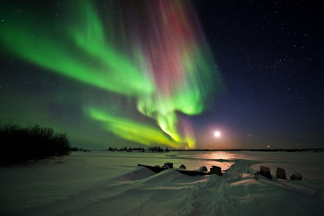Yellowknife Tours - Aurora by bus - Photography help that adds real value
