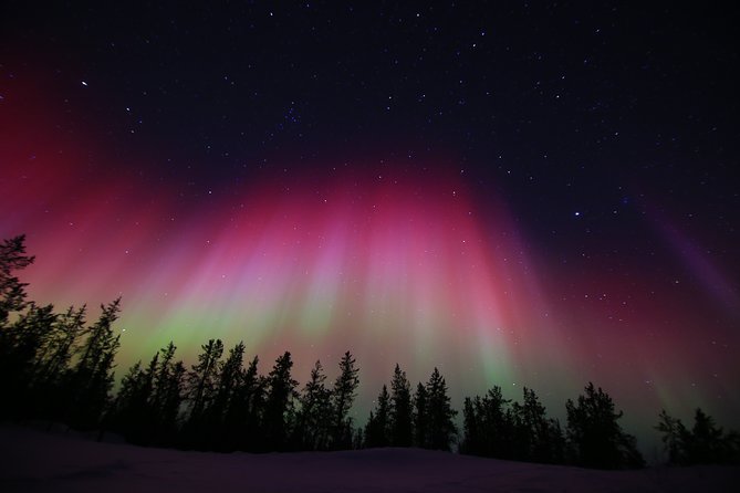 Yellowknife Tours - Aurora by bus - What the $102.89 price really buys