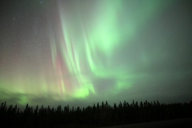 Yellowknife Winter 5 Days 4 Nights: Aurora and Day Activities - Day three: snowmobile riding and a small city tour