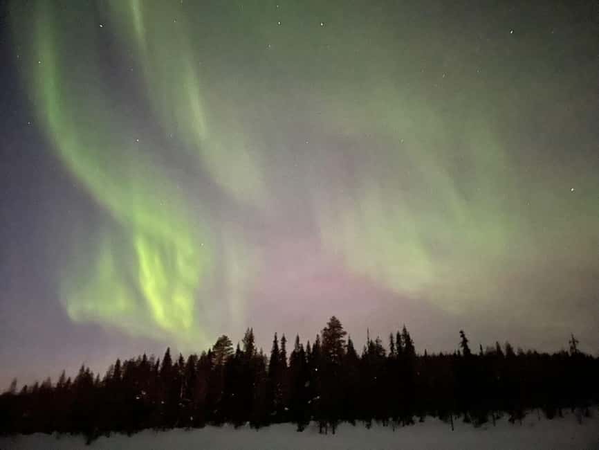 Ylläs: Northern Lights Snowmobile Safari with Transfers - Key points to know before booking