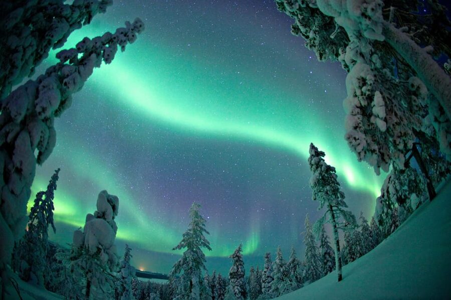 Ylläs: Seeking Northern Lights Photo Tour - Four hours under the Ylläs night sky