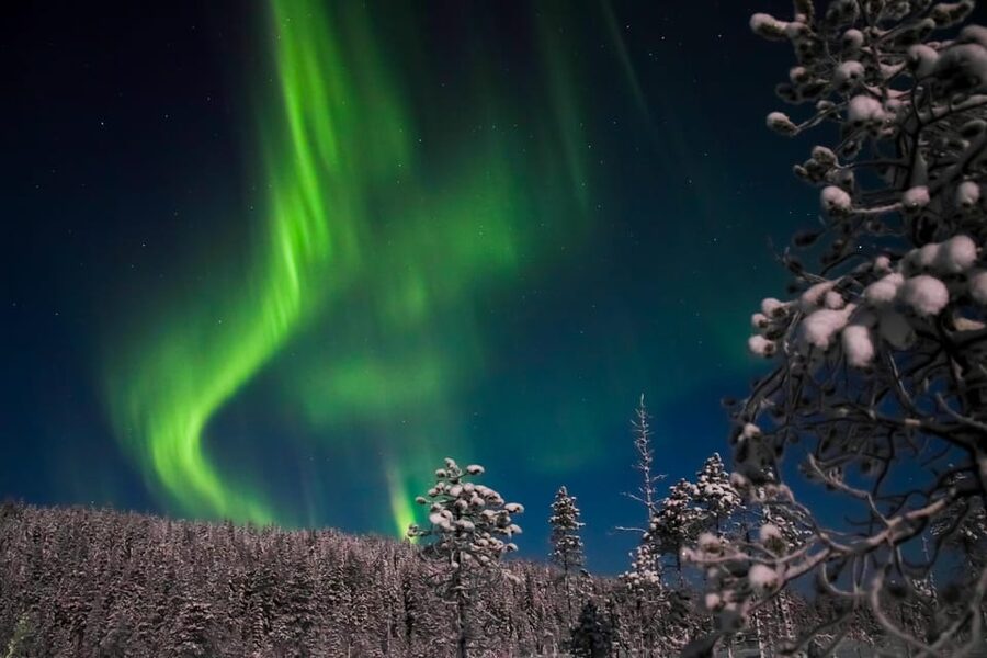 Ylläs: Seeking Northern Lights Photo Tour - Hot drinks, cookies, and time outside