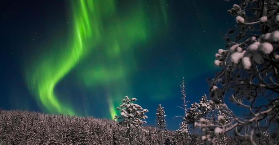 Ylläs: Seeking Northern Lights Photo Tour - Who will get the most from this tour