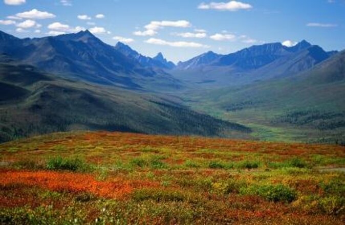 Yukon Aurora Viewing Package | 4 days - Three nights give the aurora a fair chance